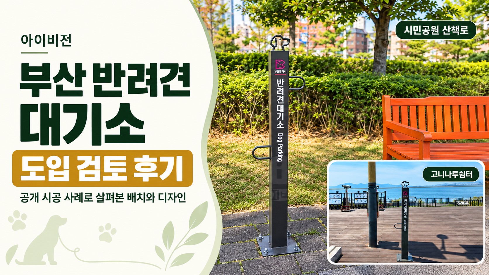 아이비전 부산 반려견 대기소 도입 검토 후기